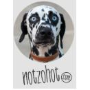 Notzohot
